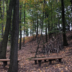 outdoor classroom