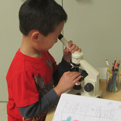 child looking into microscope